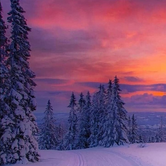 Meet your Posher, R - Picture 1 of 1